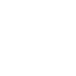Brunswick Recovery Gym Fire & Ice